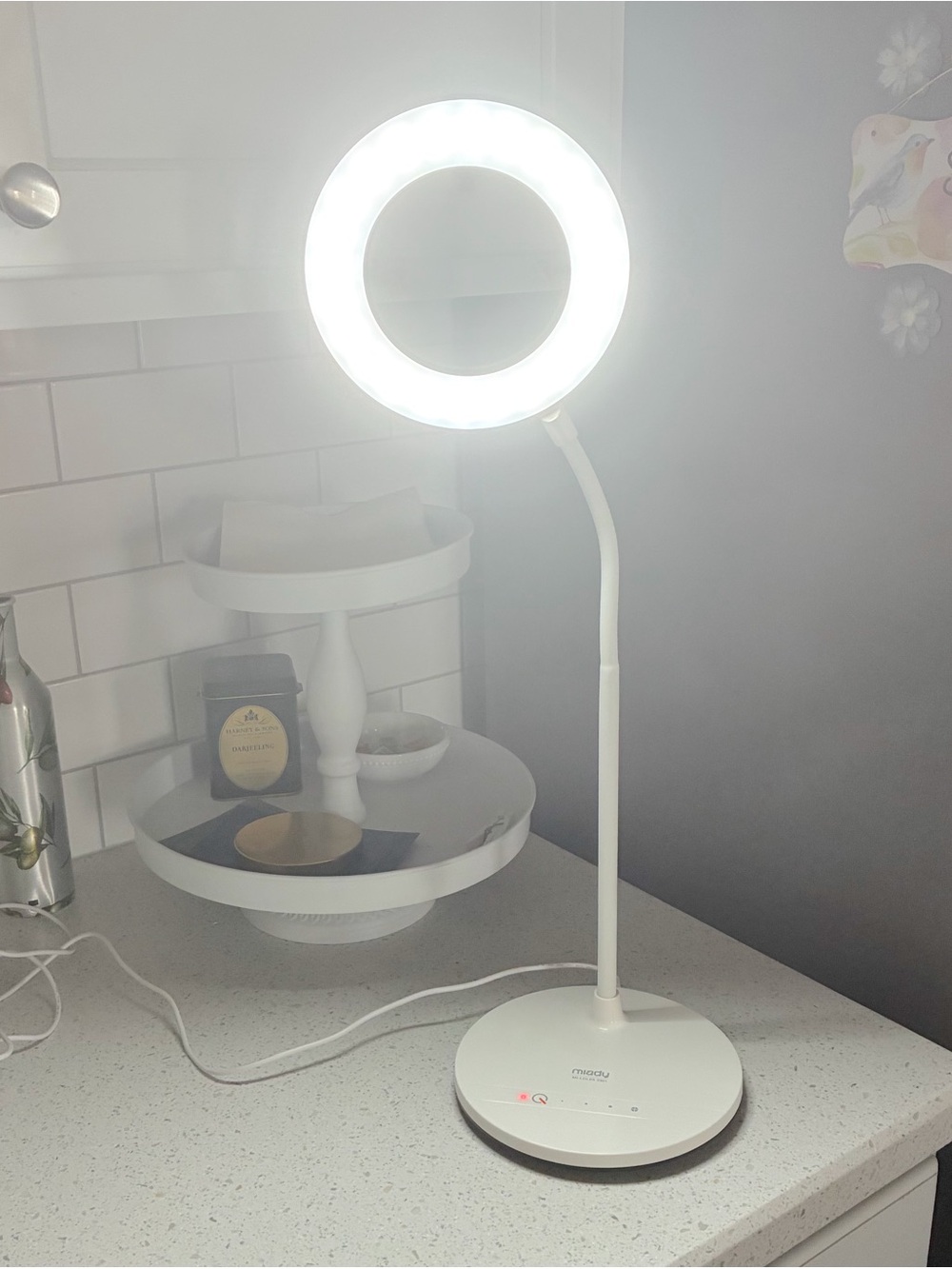 White LED Ring Desk Lamp